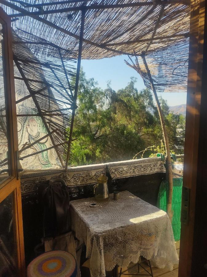 Nuevovalpo Hillside Homestay Santiago del Cile Esterno foto