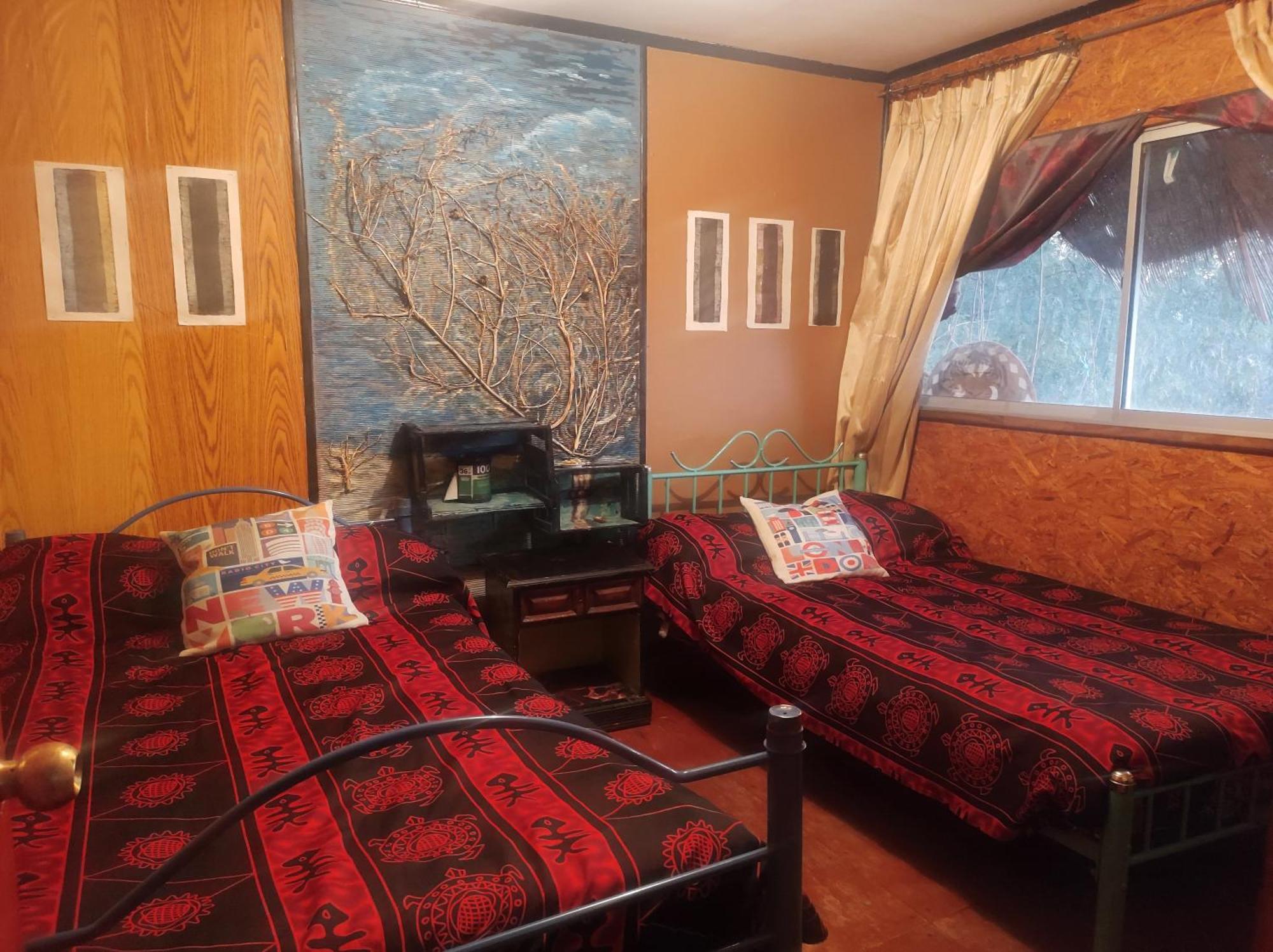 Nuevovalpo Hillside Homestay Santiago del Cile Esterno foto
